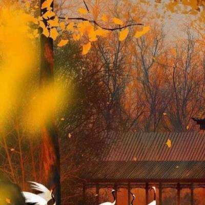 开天赤月手游(暂未上线)v1.0.0 安卓版